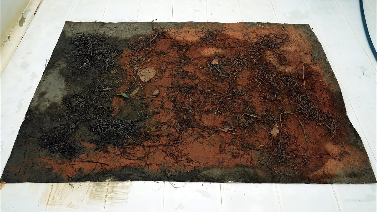 Left Behind in a Flooded House – This Carpet Had a Hidden Pattern Under the Dirt - Carpet Cleaning