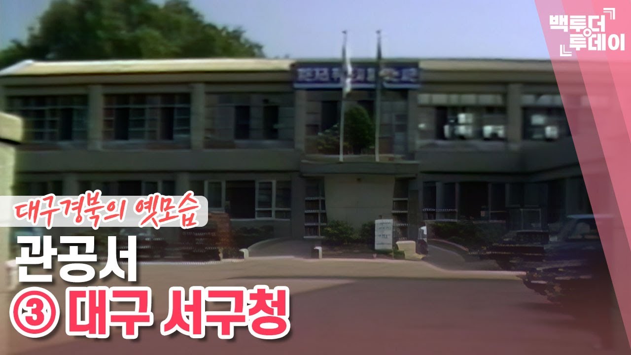 관공서 ③  대구 서구청 | 백투더투데이