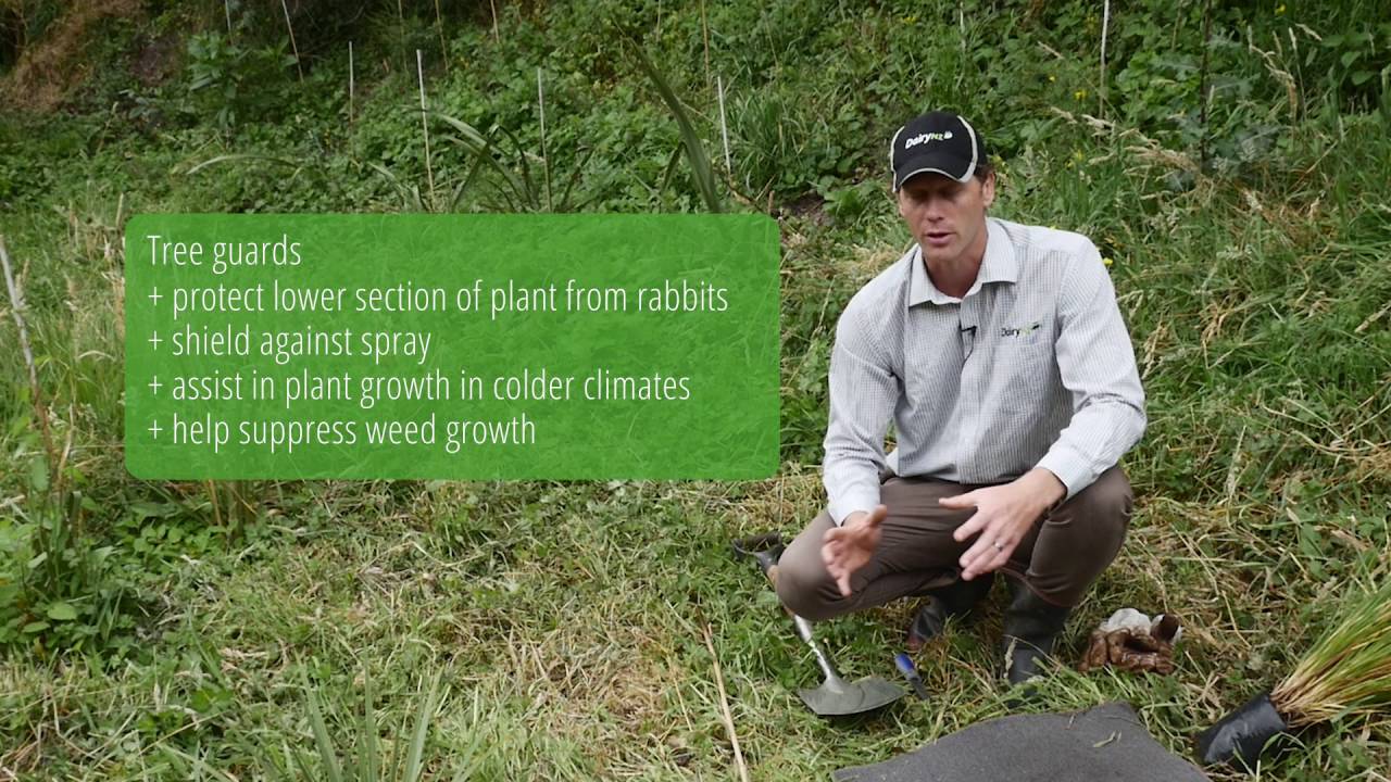 Three steps to make riparian planting a success