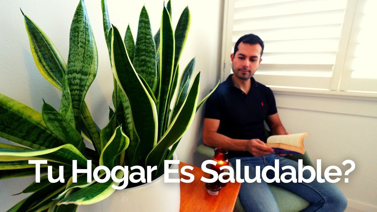 Cómo Tener Un Hogar Más Saludable? 🏡