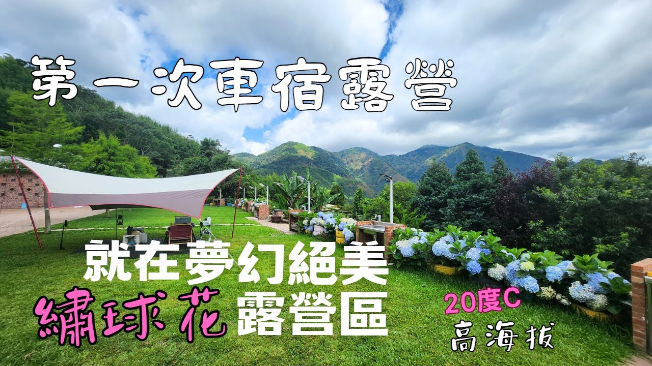 76露 /嘉義夏季高海拔繡球花露營地 / 隱藏版茶園繡球花步道一並收藏 /瑞里許家茶園民宿露營區/車宿露營/ 수국캠핑장 / Camping Vlog  6