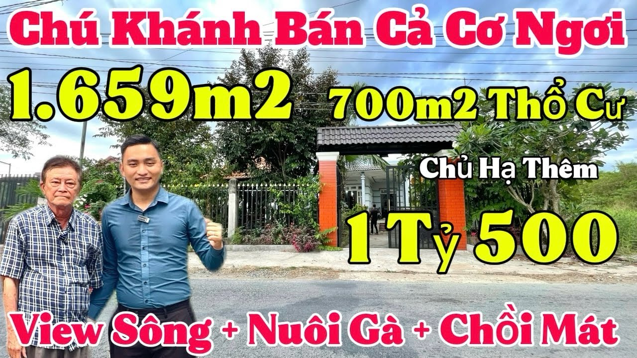Tập 20 👉 NHÀ VƯỜN CẦU ÔNG THÌN -QL 50 Ngang 15 x 133 (Tổng 1.659m2) Chủ Hạ 1 Tỷ 500 Triệu View Sông✅