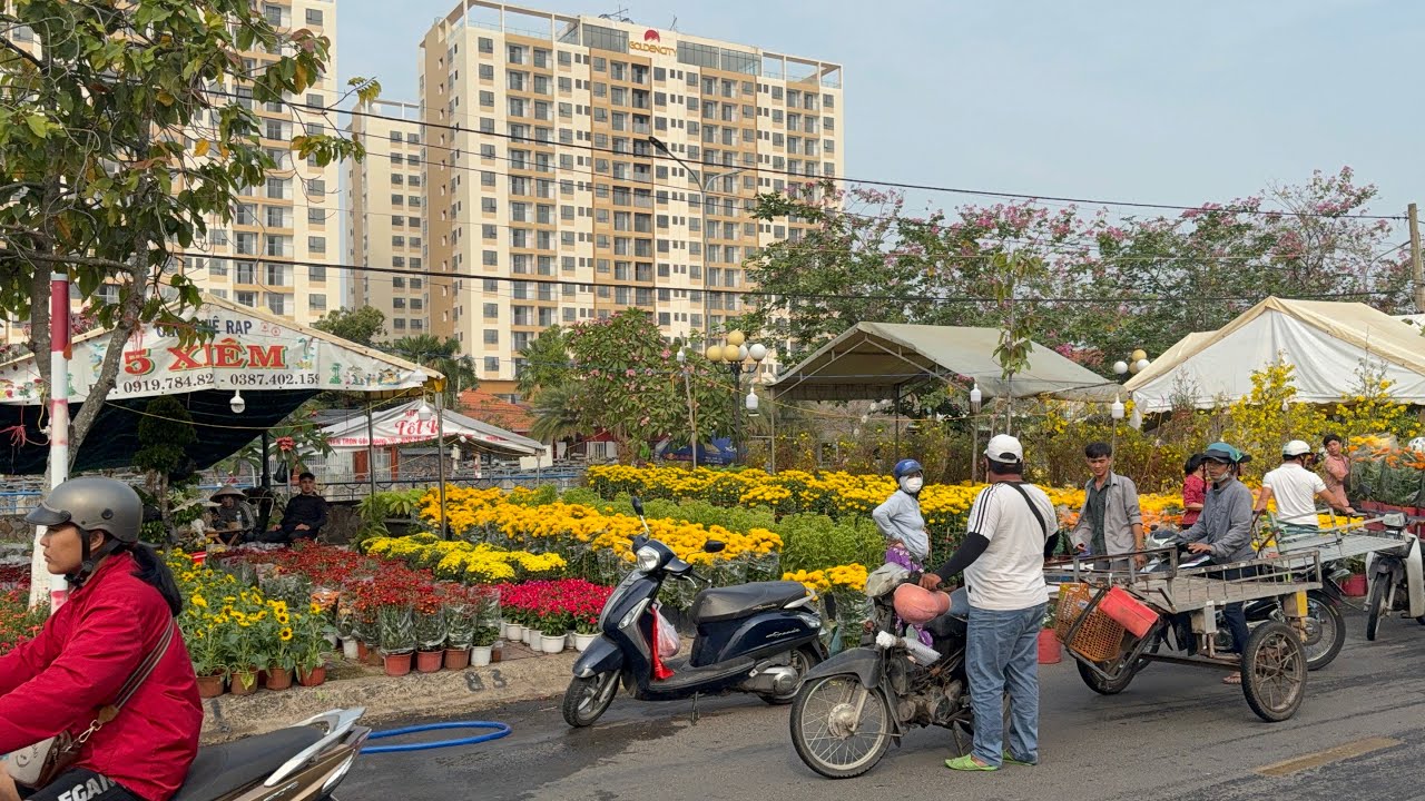 Tết đông nghẹt! Người mua hoa ở Chợ Hoa tết Tây Ninh