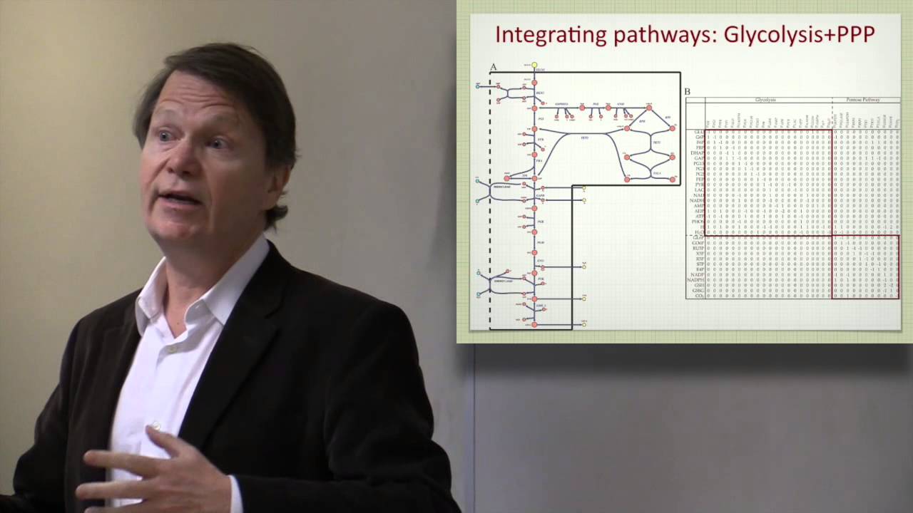 Lecture 2. Network Reconstruction: The Concept