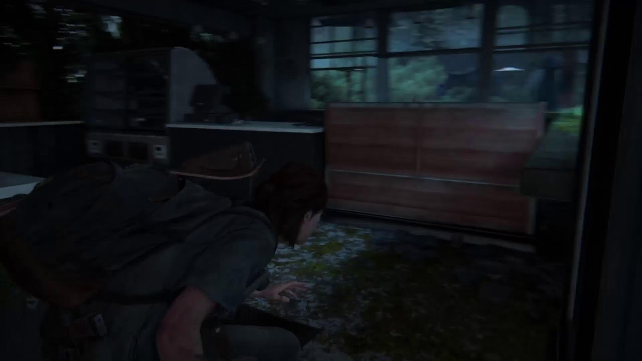 The Last of Us