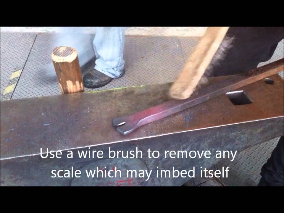 edt 204 video