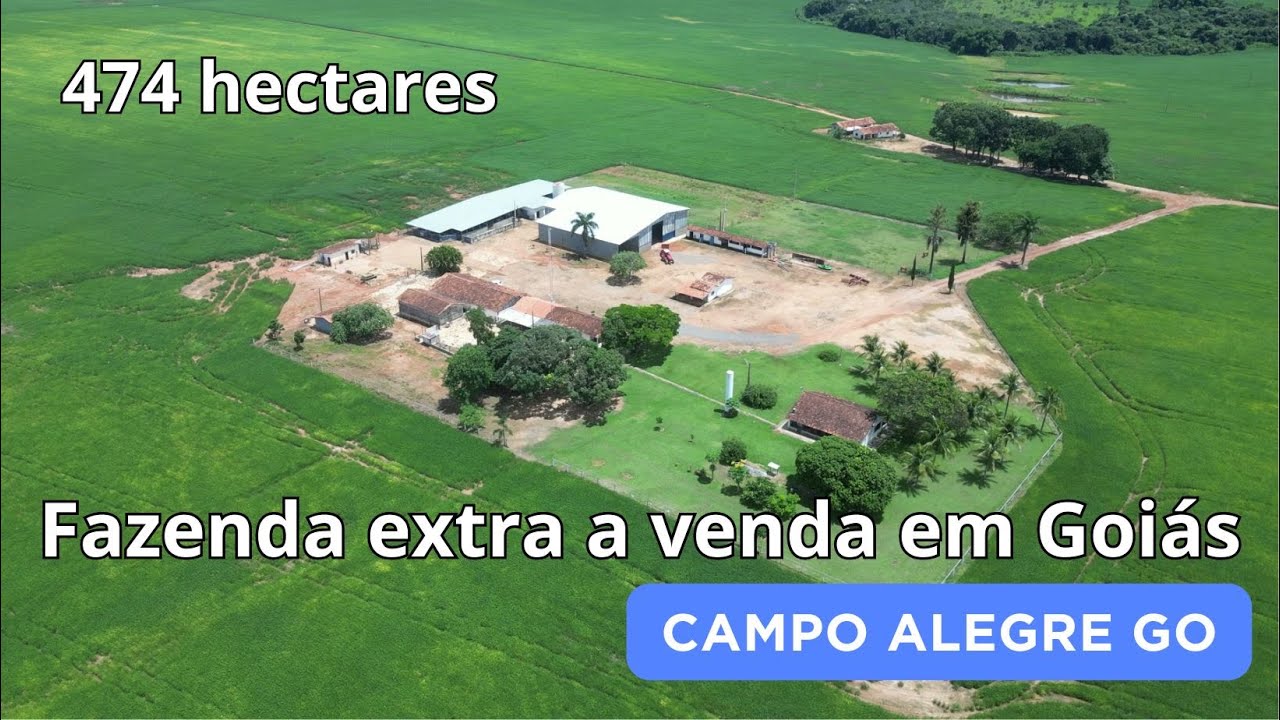 Fazenda acima da média a venda em Campo Alegre GO