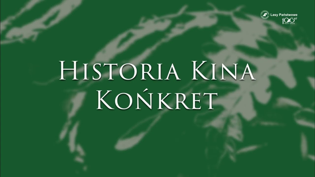 Historia Kina Końkret – 10 filmów na temat leśnego dziedzictwa