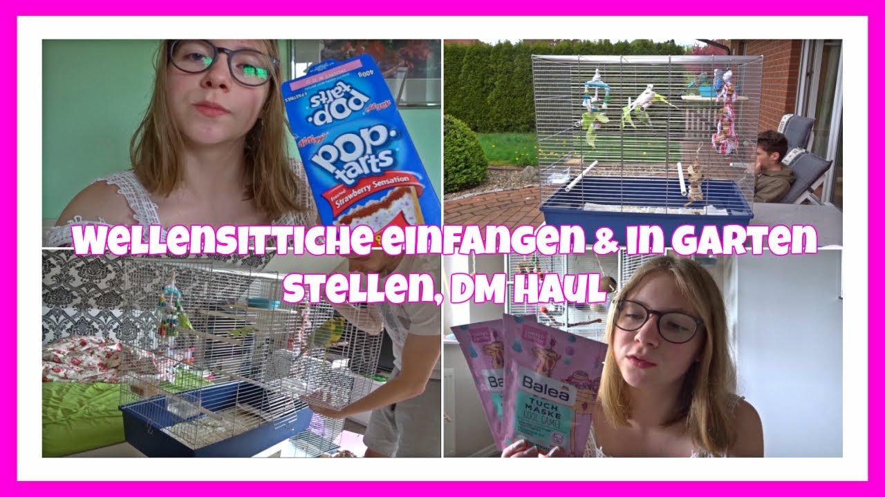 Wellensittiche einfangen & in Garten stellen, DM Haul Vlog vom 29.04.2018