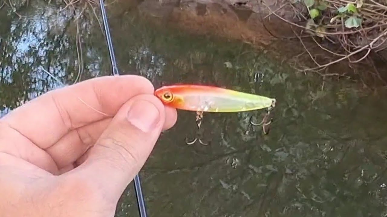 Pesca Ultra Light com Micro Stick de 150 reais contra isca de 1,50 - Pescaria de Robalo de Barranco