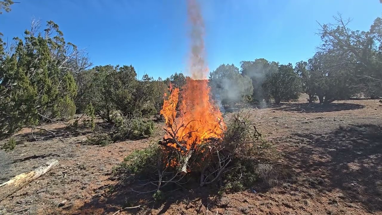 The first of 3 burn piles 