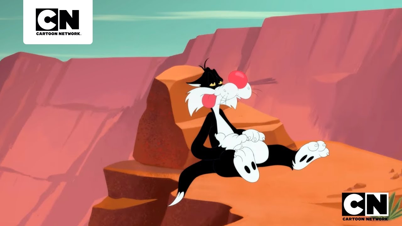 CANÁRIO DO GRAND CANYON | LOONEY TUNES CARTOONS | CARTOON NETWORK