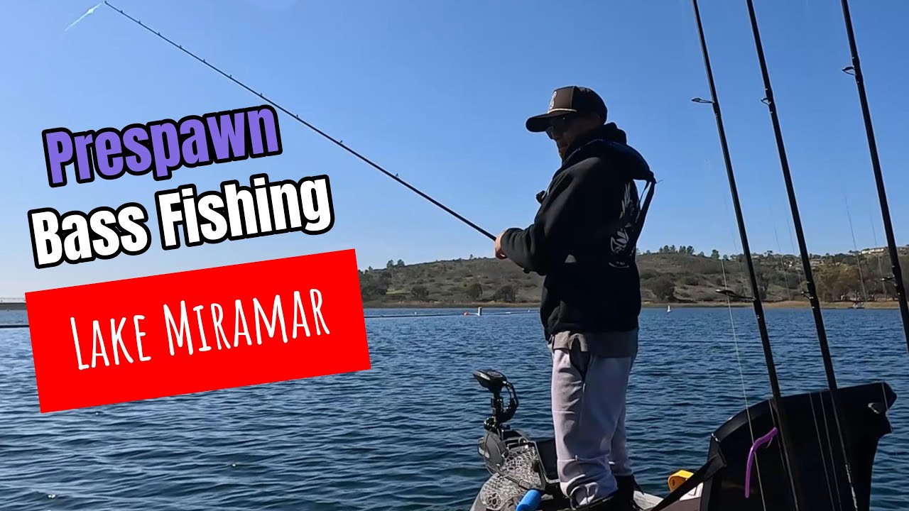 Prespawn Bass Fishing: Lake Miramar