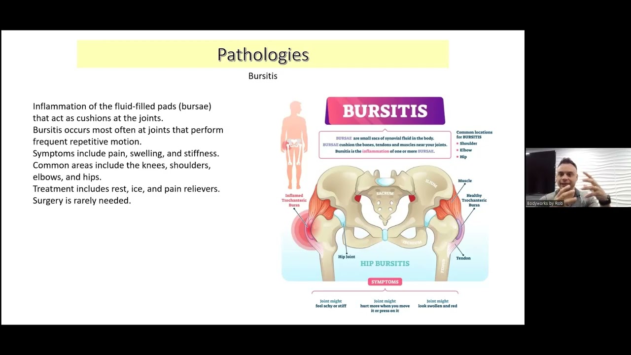 Physiology and Pathology Part 1  Skeletal and Muscular Systems