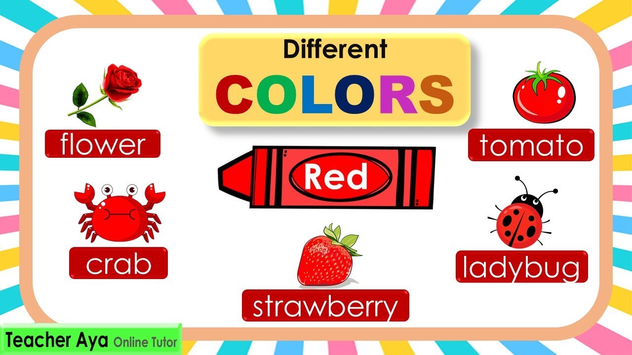 Learn the different colors | Video tutorial for kids
