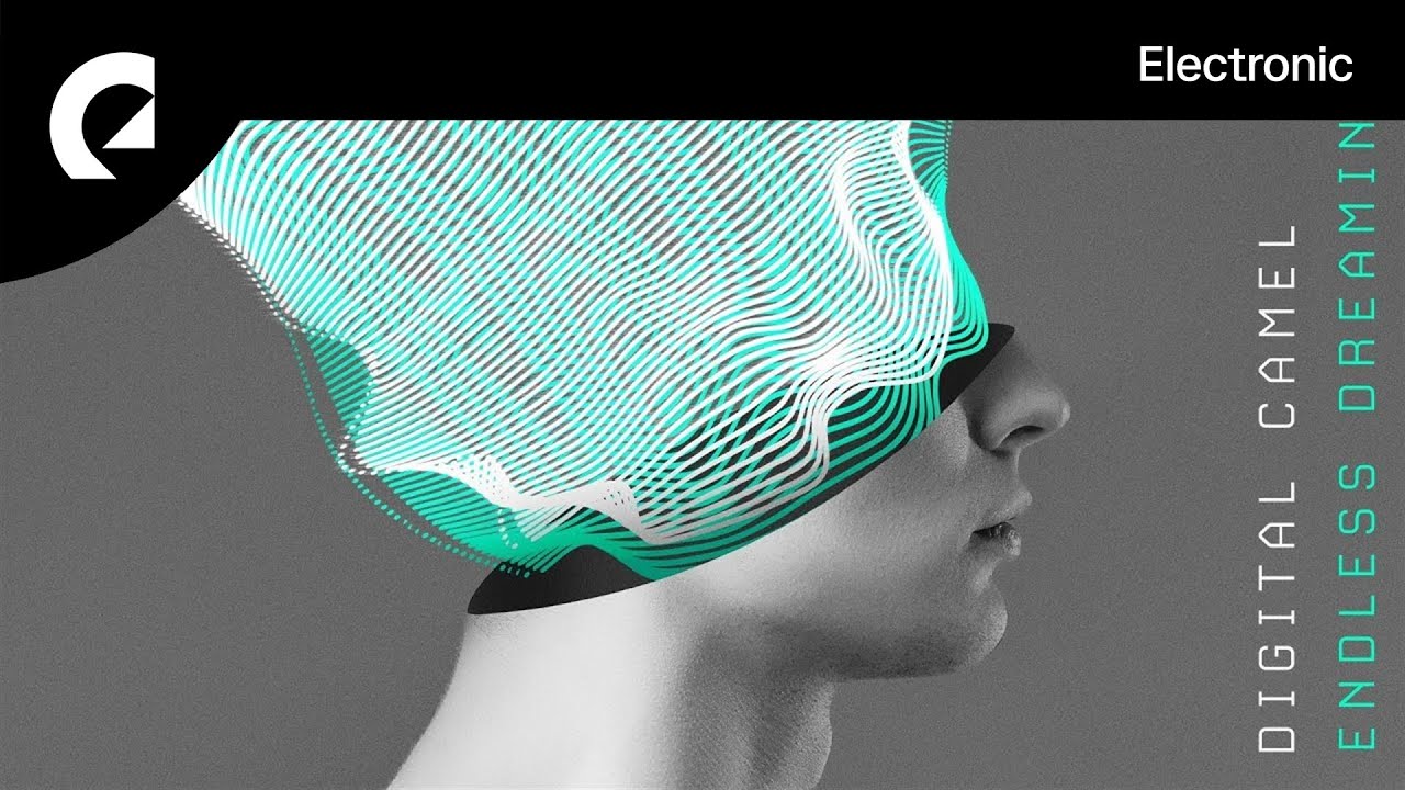 Digital Camel - Walk The Path