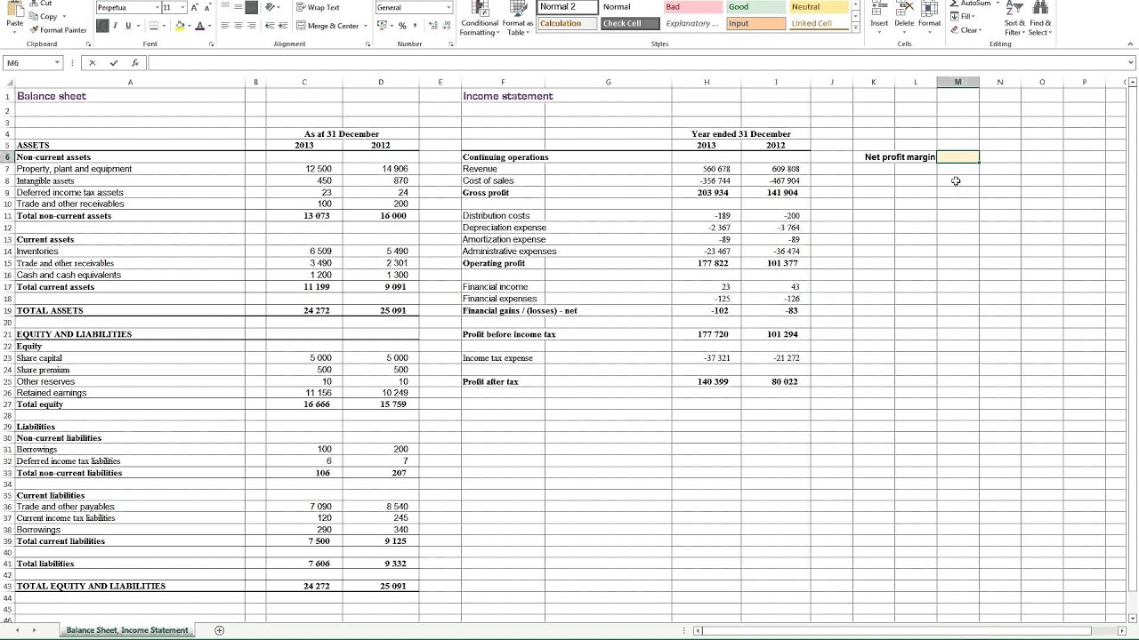 Calculating Net Profit Margin in Excel