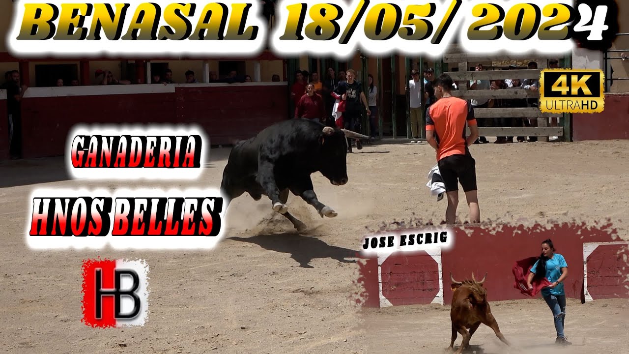 👍▶️BENASAL´24 MATINAL DE HNOS BELLES