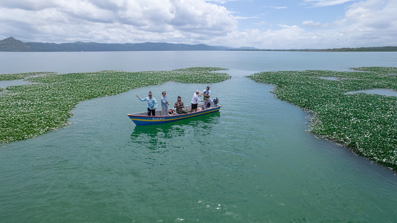 Una gran pesca y cocina de enormes blancos usando pupos de carnada