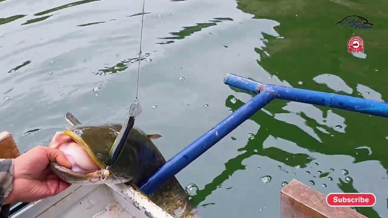 🎣 Ekstreman ribolov na somove! Hladan dan, kiša, sneg i dosta akcije!!!