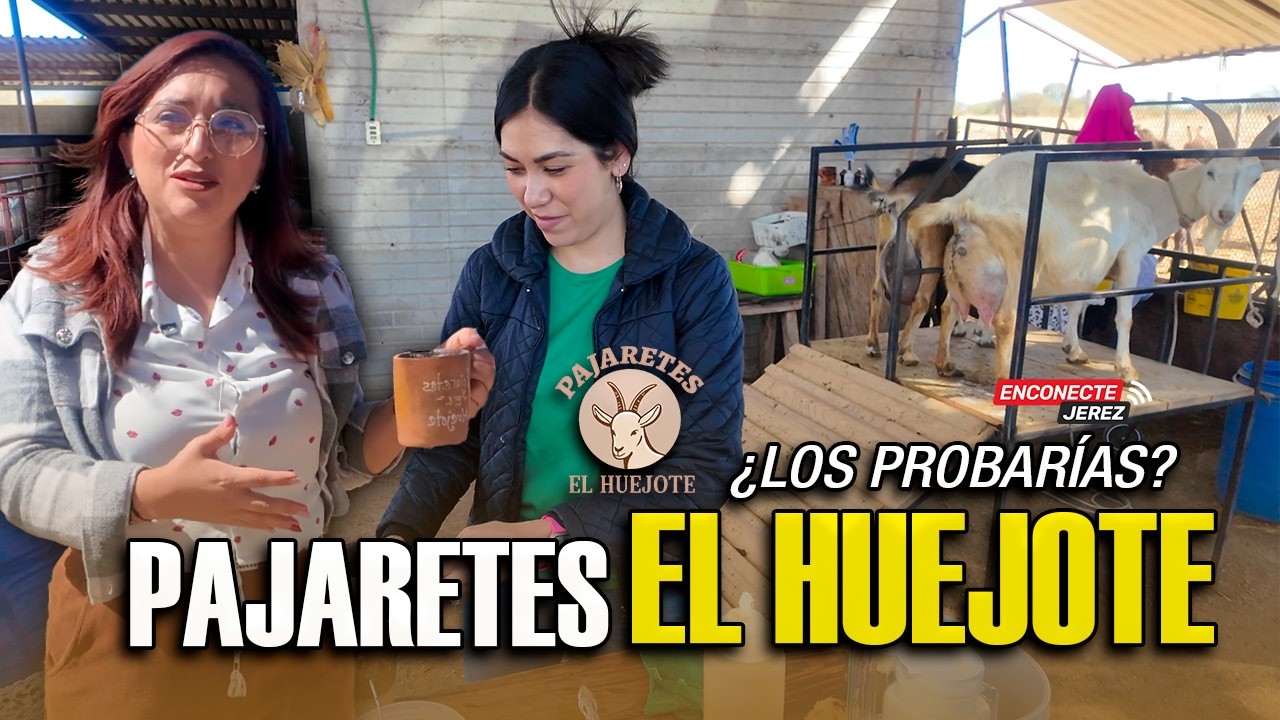 ¿Los probarías? PAJARETES EL HUEJOTE una experiencia única