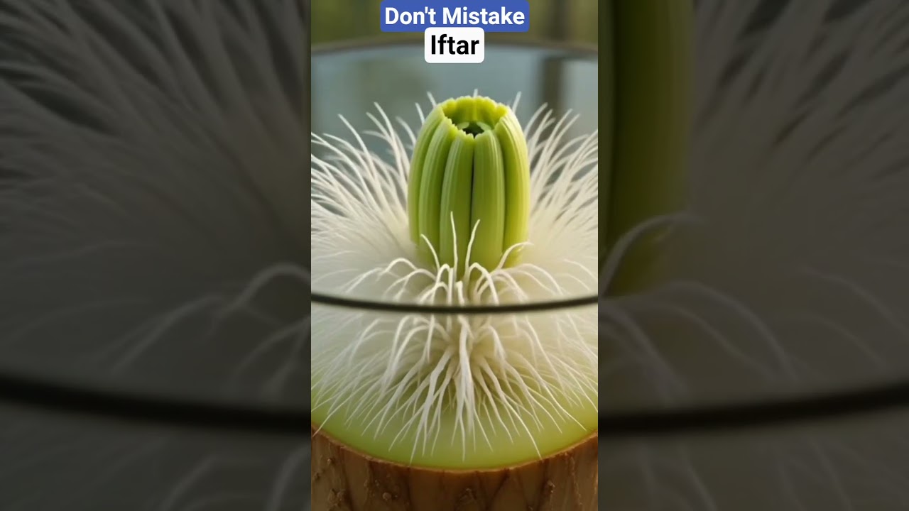 Mistake Iftar #iftar #shorts #ramzan #facts #islamicvideo #islamicholiday #imamqasim #food