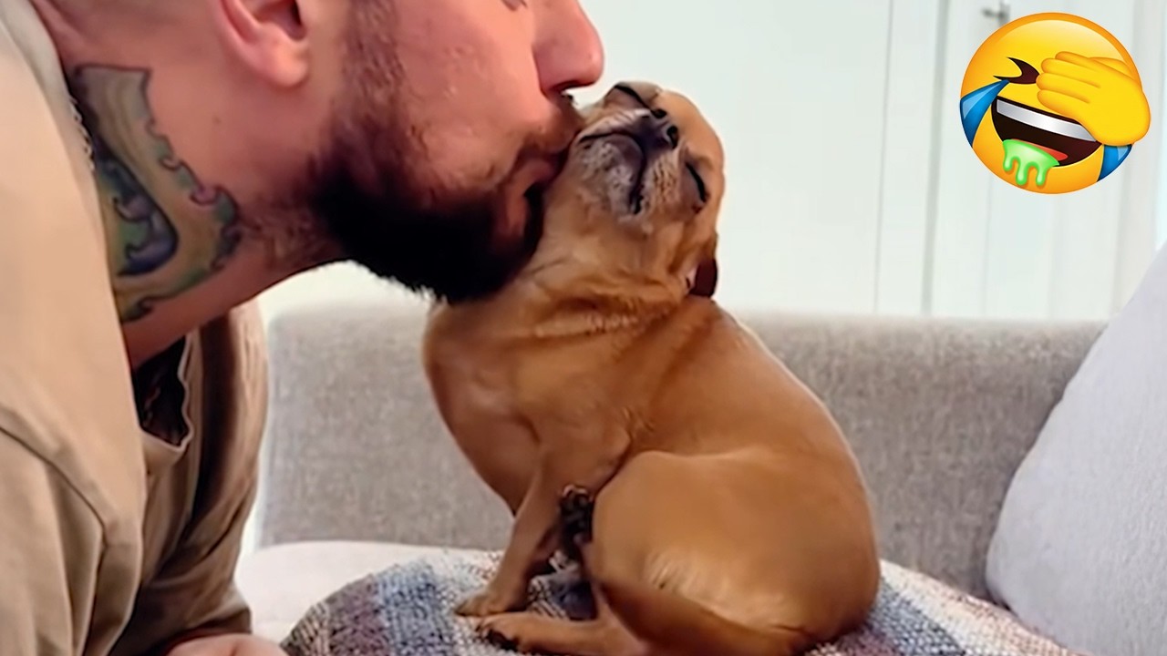 Новые самые смешные видео с собаками 🐶 Попробуйте не засмеяться 😜 Ежедневная порция интернет-соба...