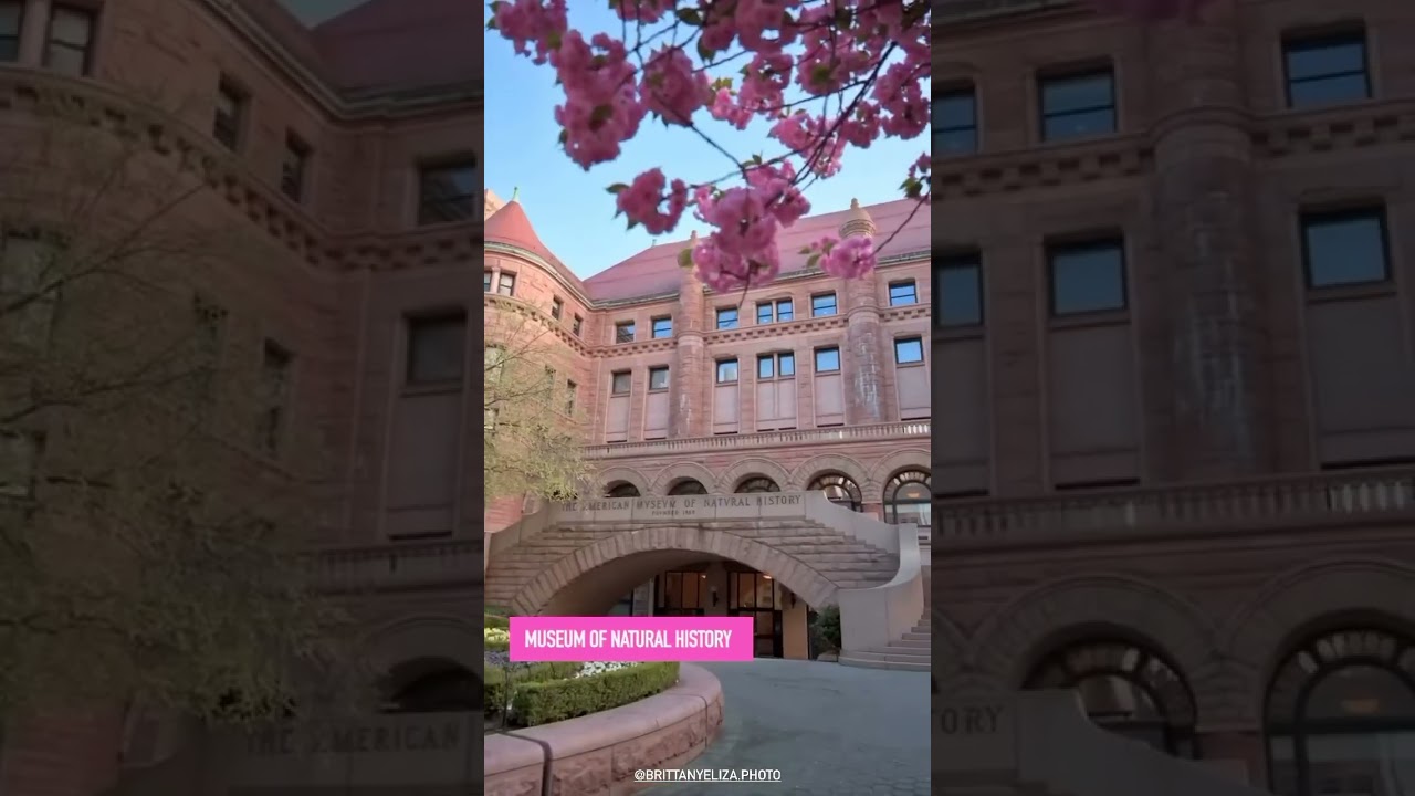 &iexcl;La primavera en Nueva York es una de las estaciones m&aacute;s vibrantes para visitar!