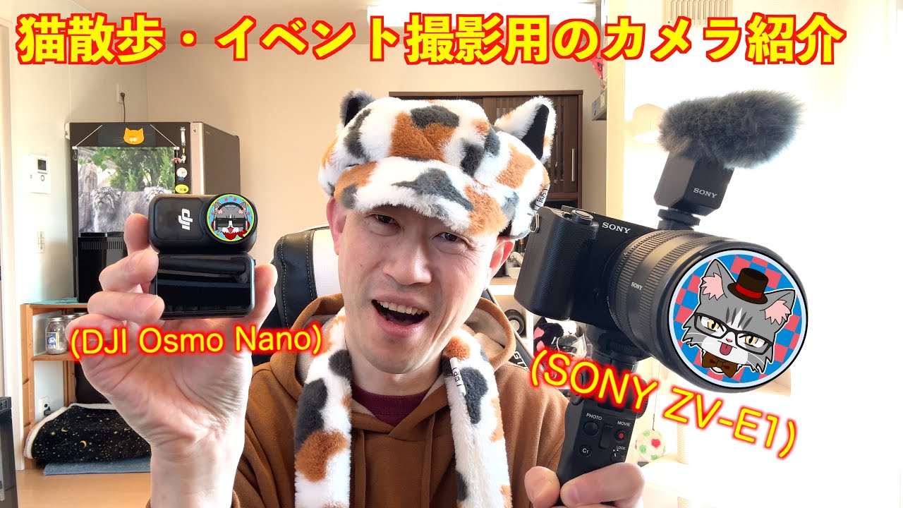 【猫散歩・イベント撮影用のカメラ紹介☆】DJI Osmo NanoとSONY ZV-E1を比較♪