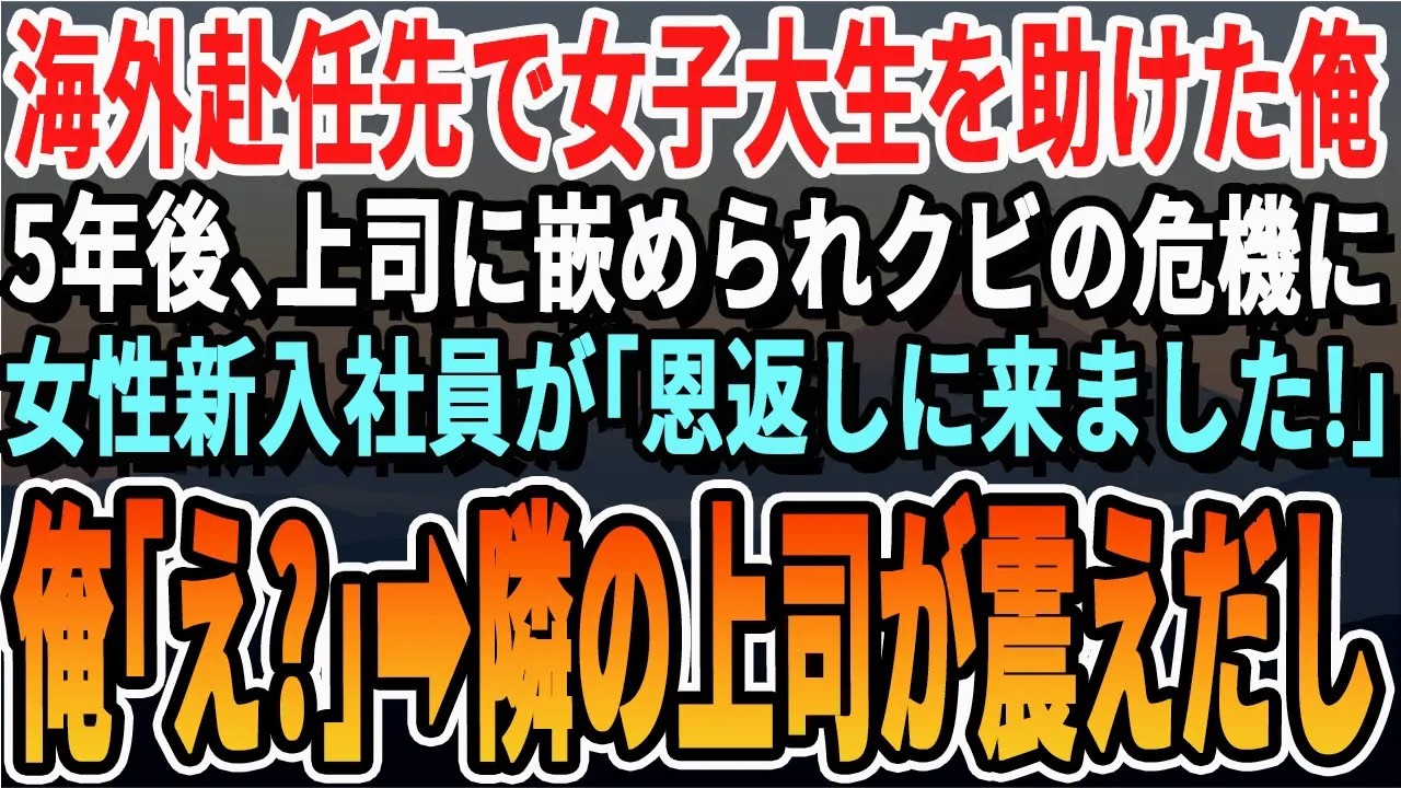 【感動する話】海外赴任中に女子大生を助けた俺。5年後、上司にハメられクビの危機に。すると見覚えのある女性が現れ救ってくれた。「覚えてませんか？」→まさかの展開に【いい話泣ける話朗読有料級涙腺崩壊