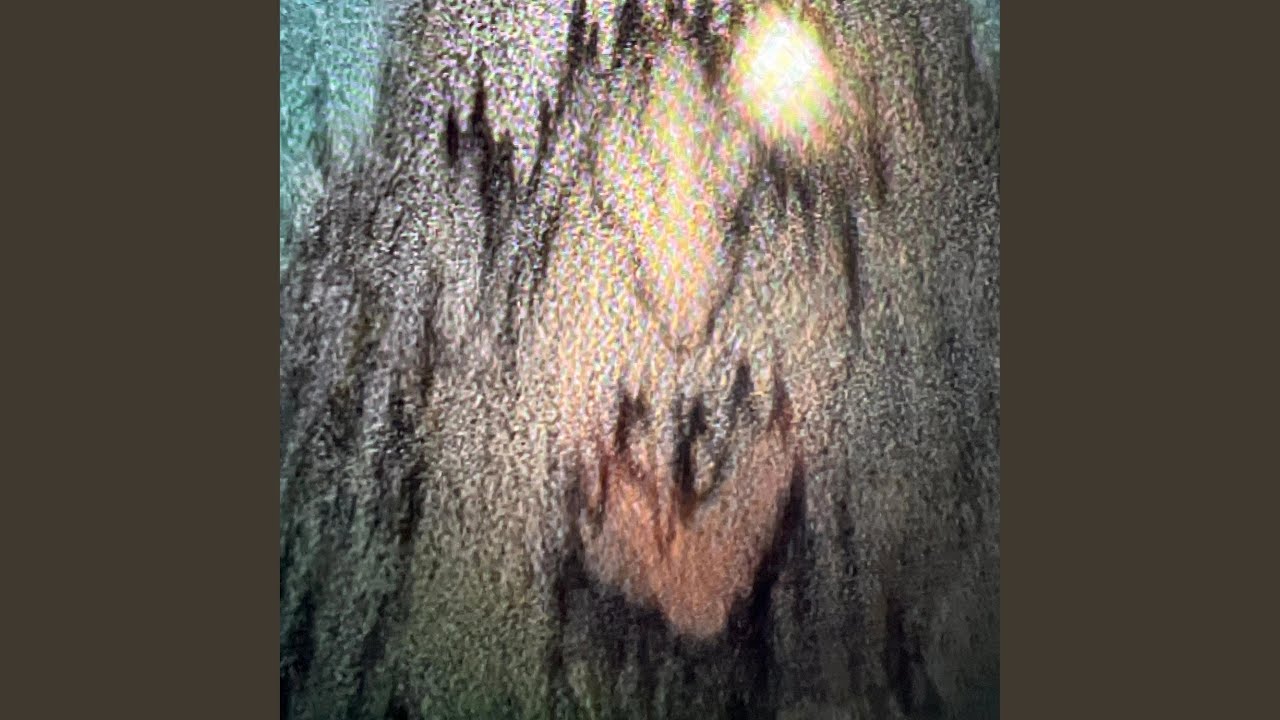 The Trollhunter