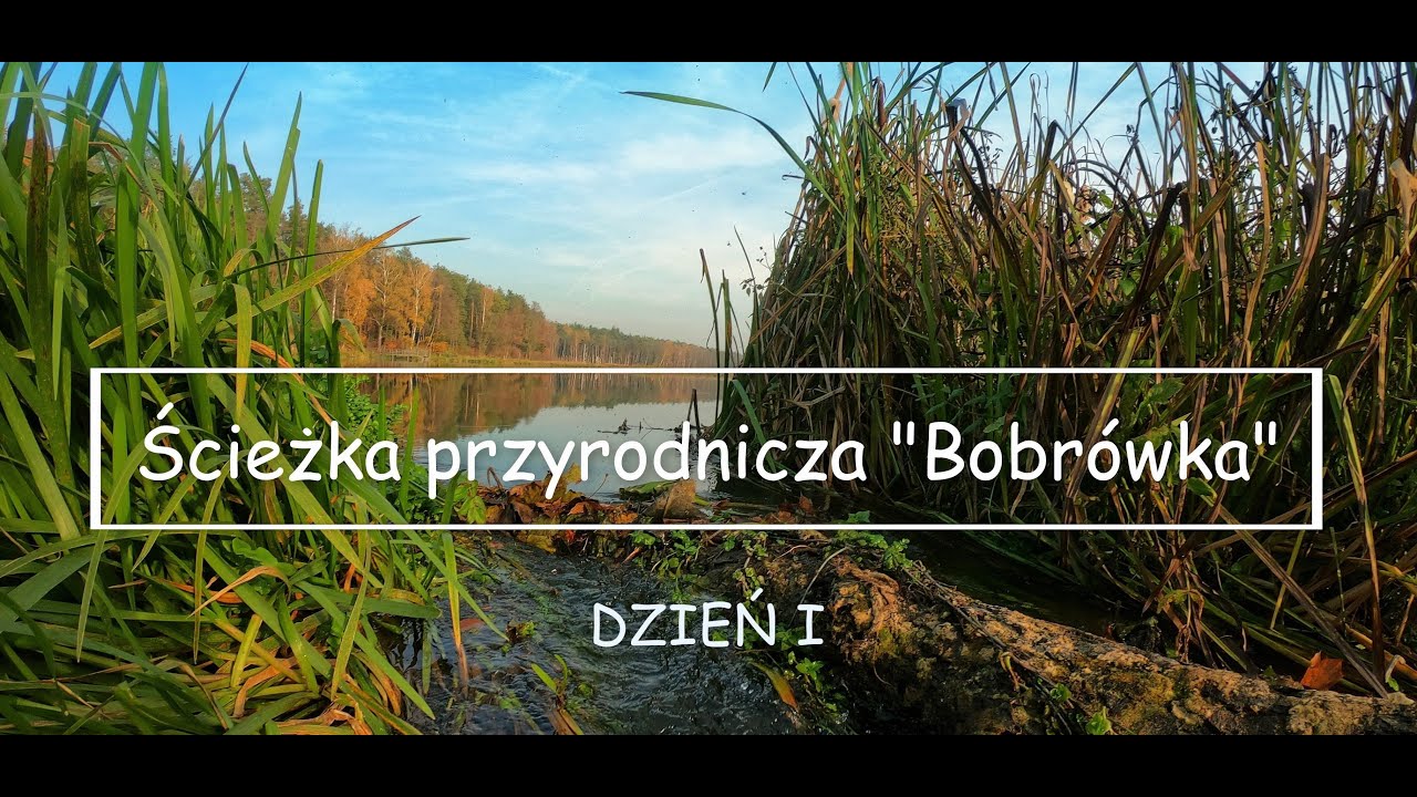 Ścieżka Przyrodnicza Bobrówka I dzień MTBike