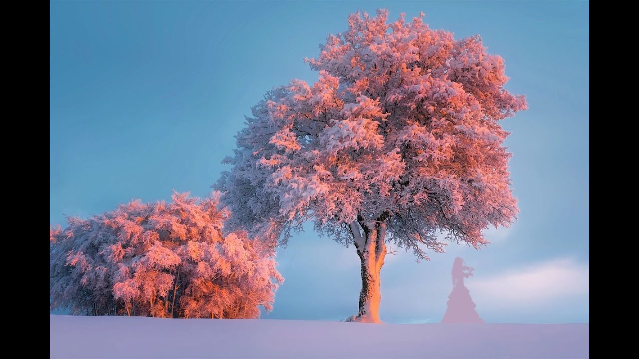 Terapia ormonale sostitutiva e cancro al seno: la disinformazione continua