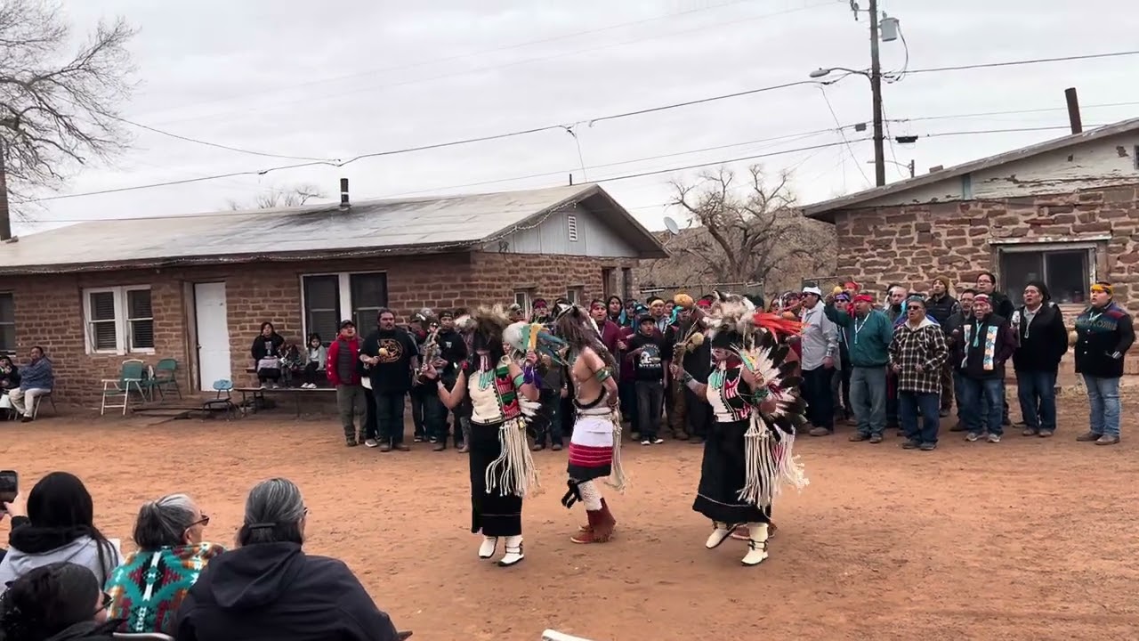 Munqap buffalos 9 Jan. 2024