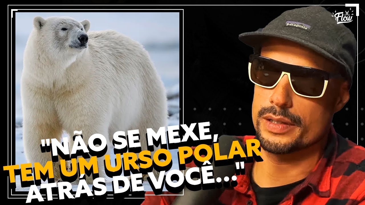Como é ENFRENTAR um URSO POLAR?
