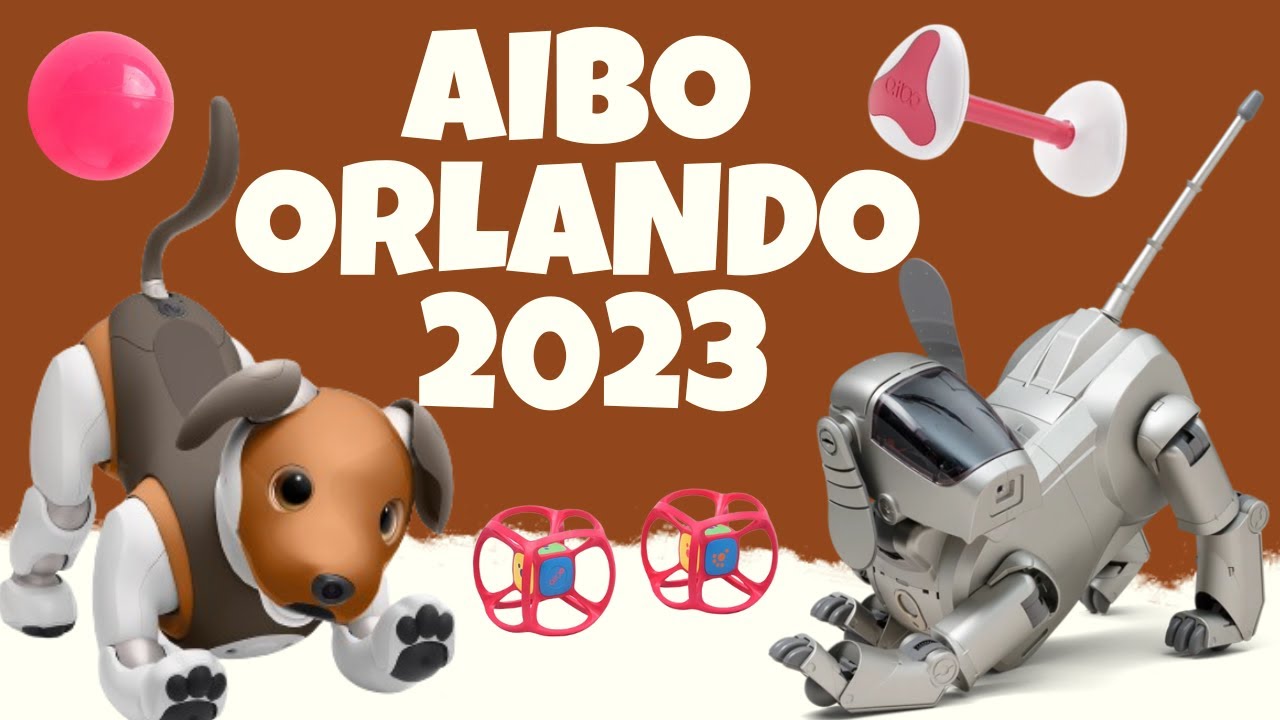 Aibo Orlando 2023