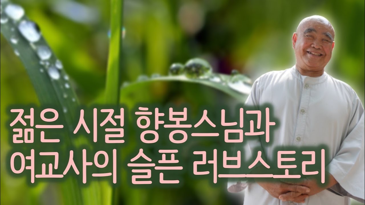 백제 때 미륵사보다 먼저 지어진 사자암의 놀라운 기운 | '산골 노승의 화려한 점심' 향봉스님 4