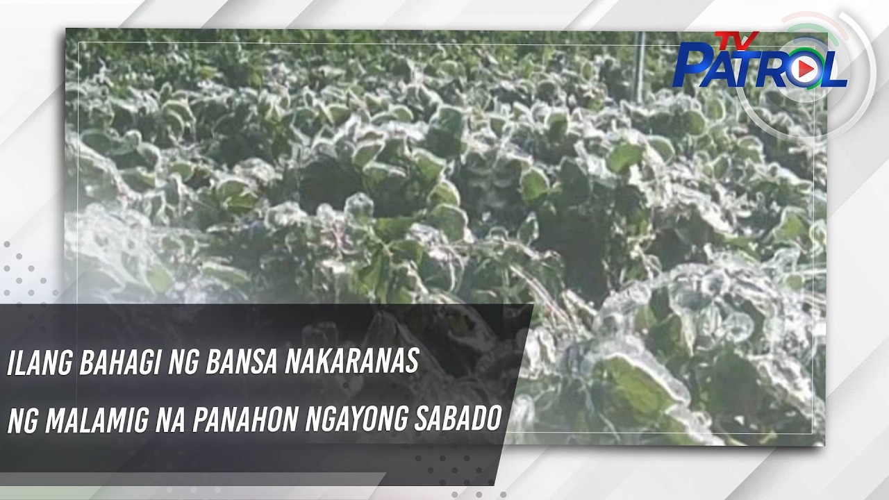 Ilang bahagi ng bansa nakaranas ng malamig na panahon ngayong Sabado | TV Patrol