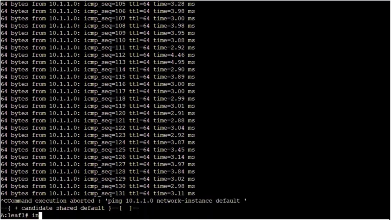 Nokia SR Linux Interfaces: LAG