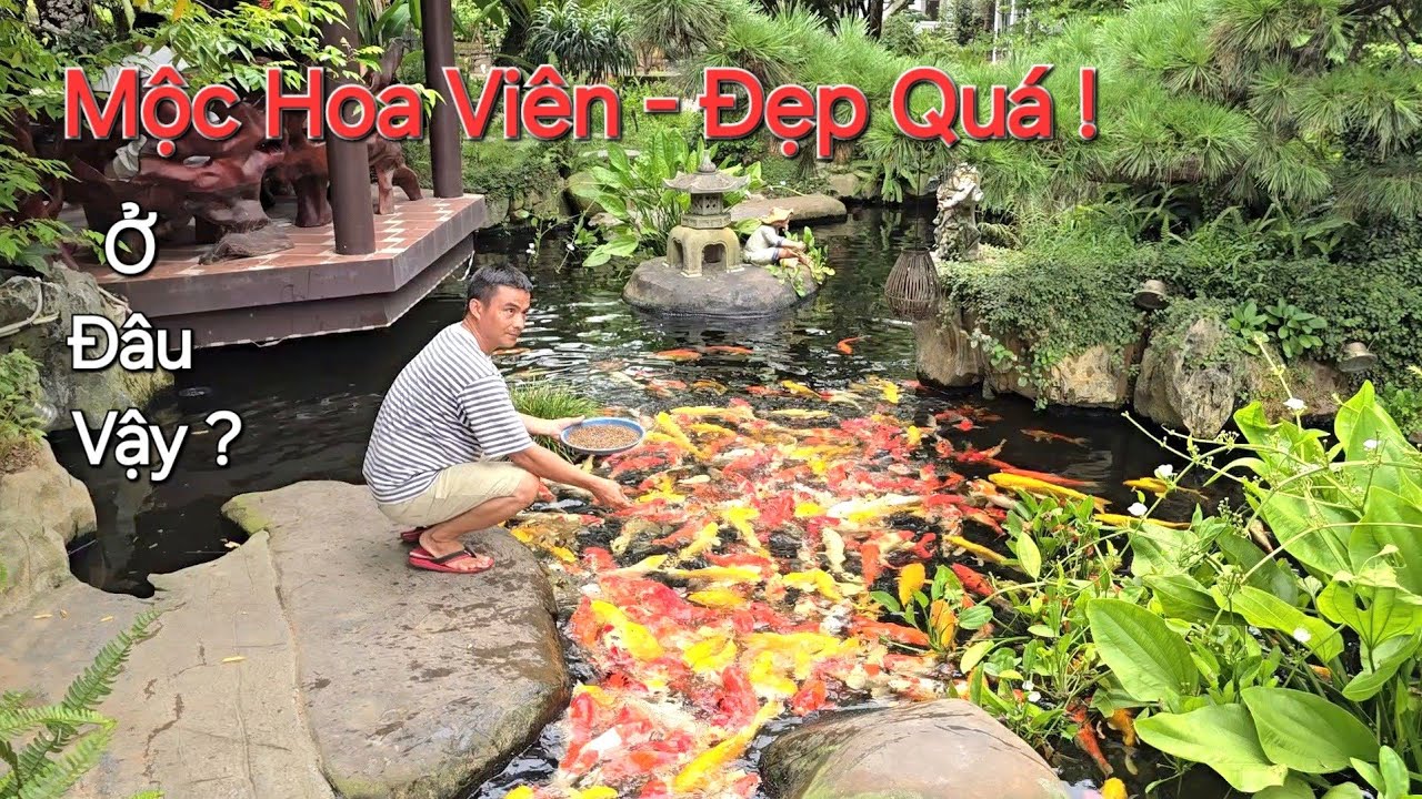 CHIÊM NGƯỠNG TỔNG THỂ không gian * SIÊU ĐẸP * NV MỘC HOA VIÊN tại Vĩnh Yên - Phú Thọ .