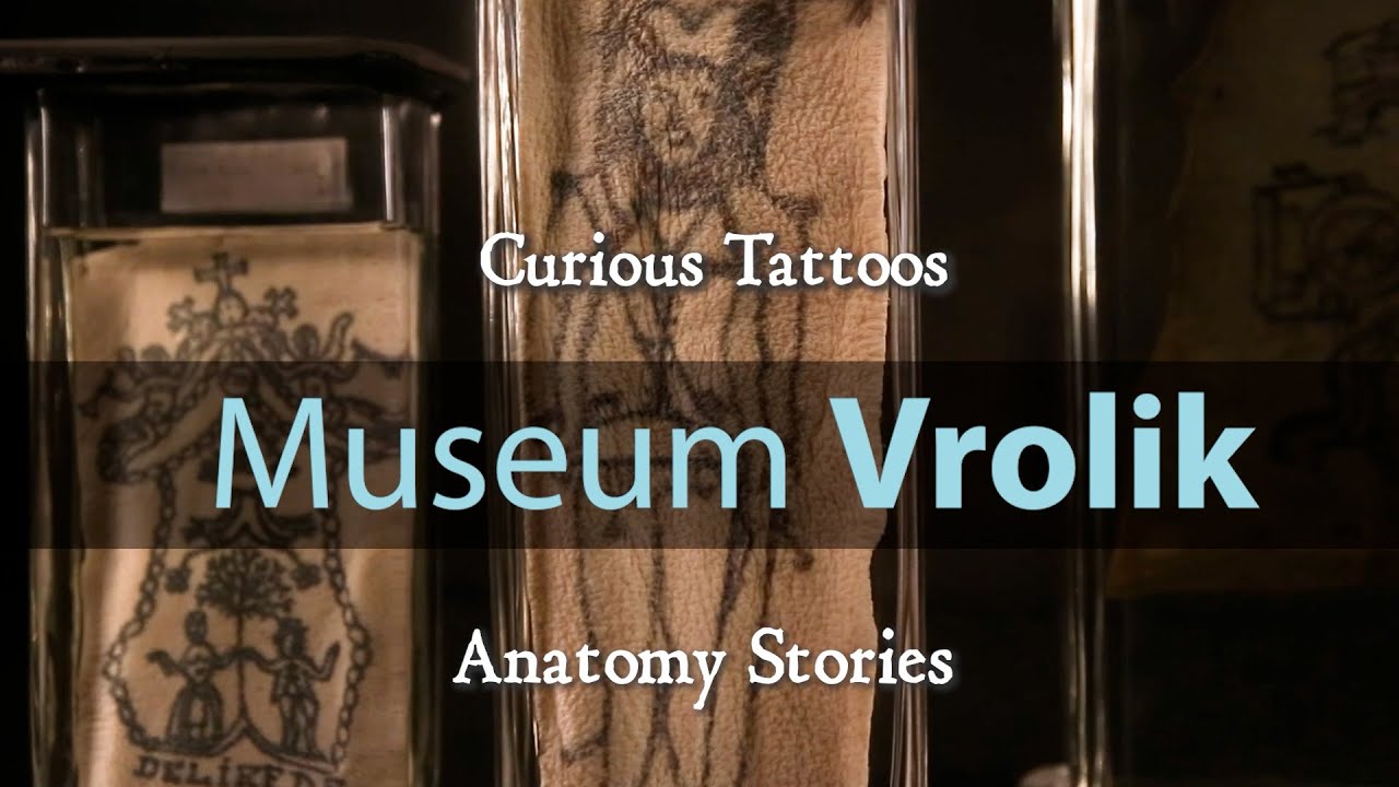Museum Vrolik - Anatomy Stories 6: Curious Tattoos