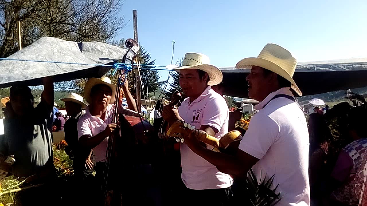 Tierras lejanas  (Hnz Ruiz de Abasolo chalcatongo)
