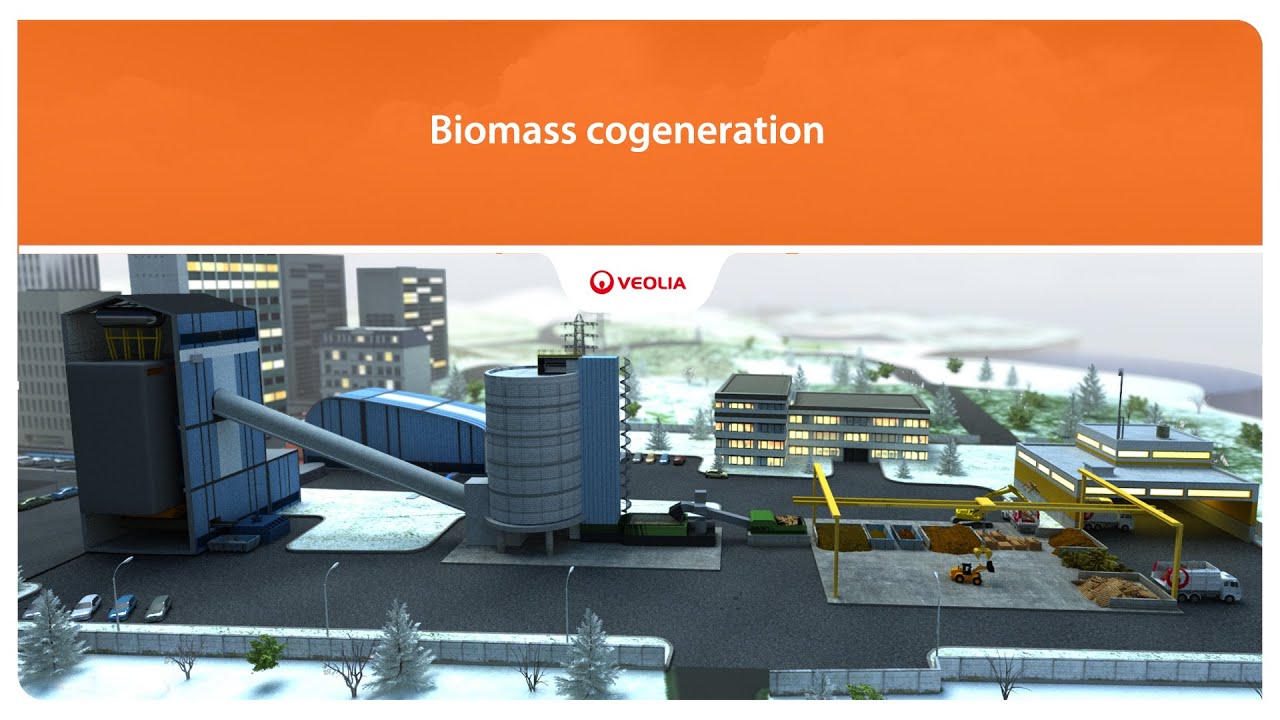 Cogeneration biomass | Veolia