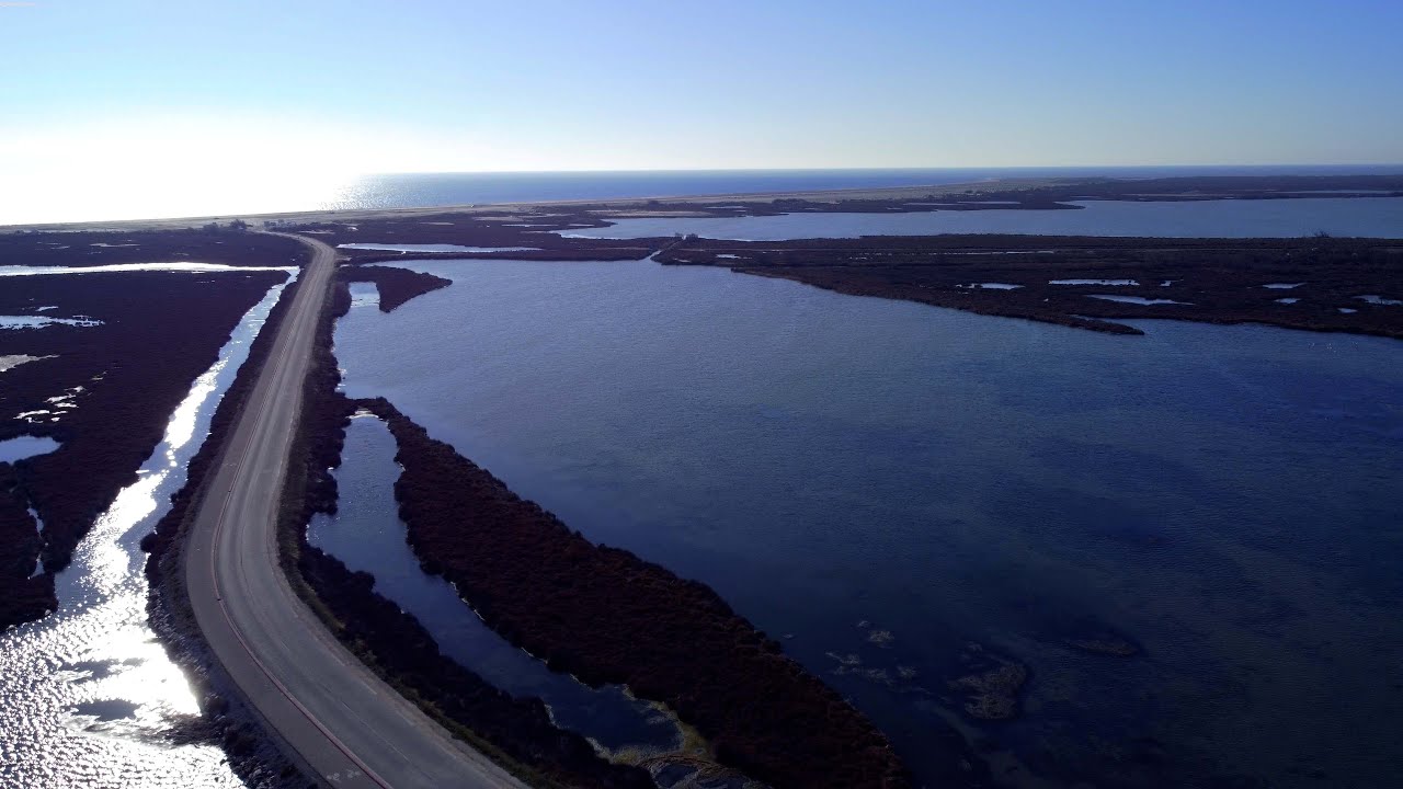 Découvrez les paysages sauvages de Port-Saint-Louis-du-Rhône