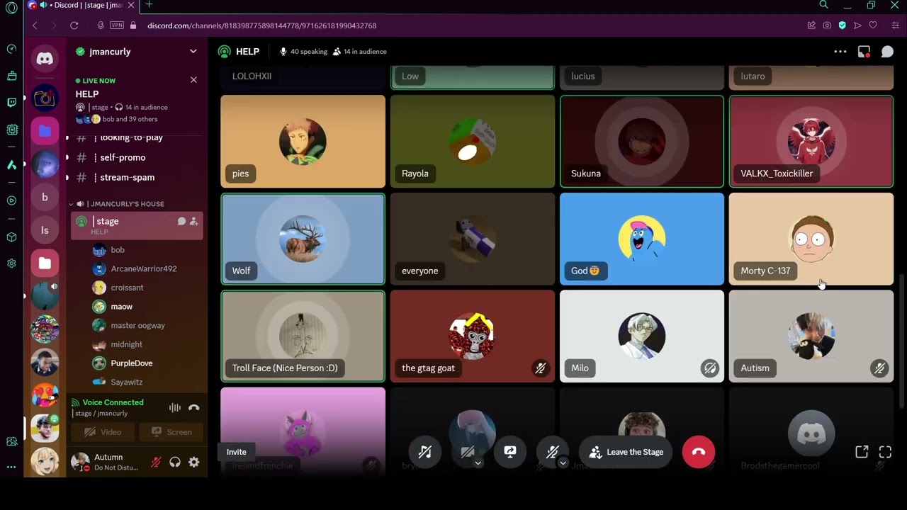 Down fall of the Jmancurly discord...