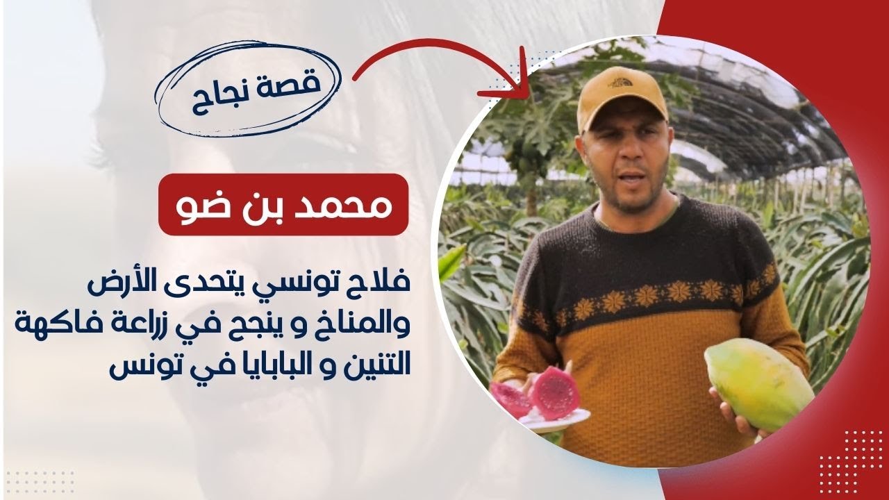محمد بن ضو فلاح تونسي يتحدى الأرض والمناخ و ينجح في زراعة فاكهة التنين و البابايا في تونس