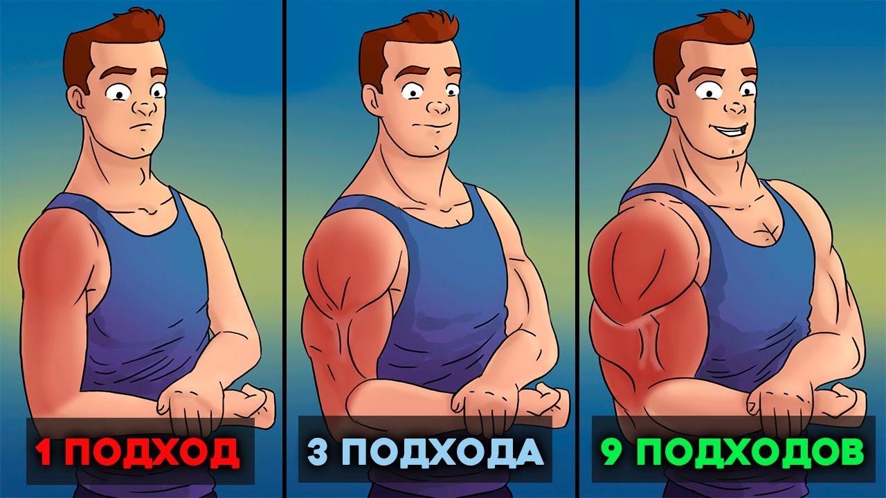 Какой Объем тренировки нужен для Роста мышц  Научные данные