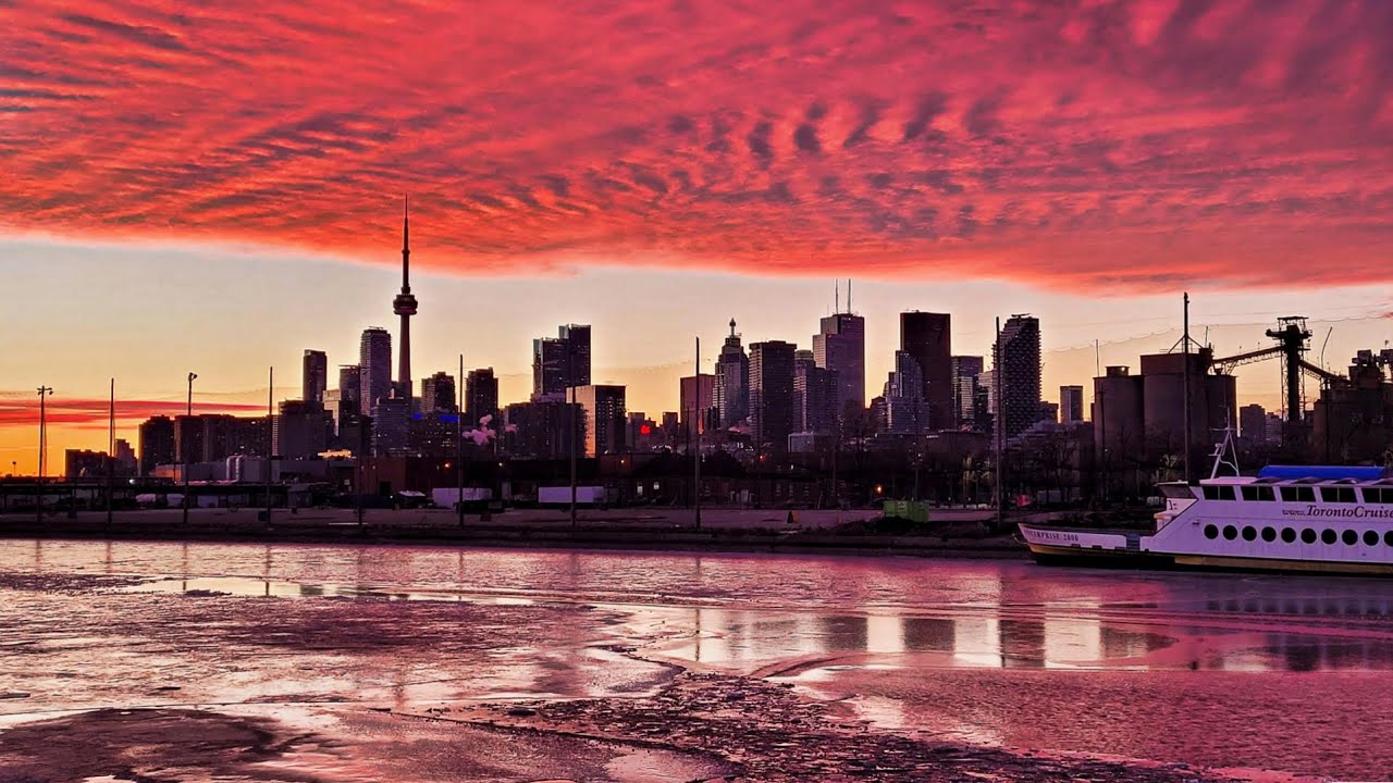 Toronto LIVE: The Port Lands on March 2, 2021
