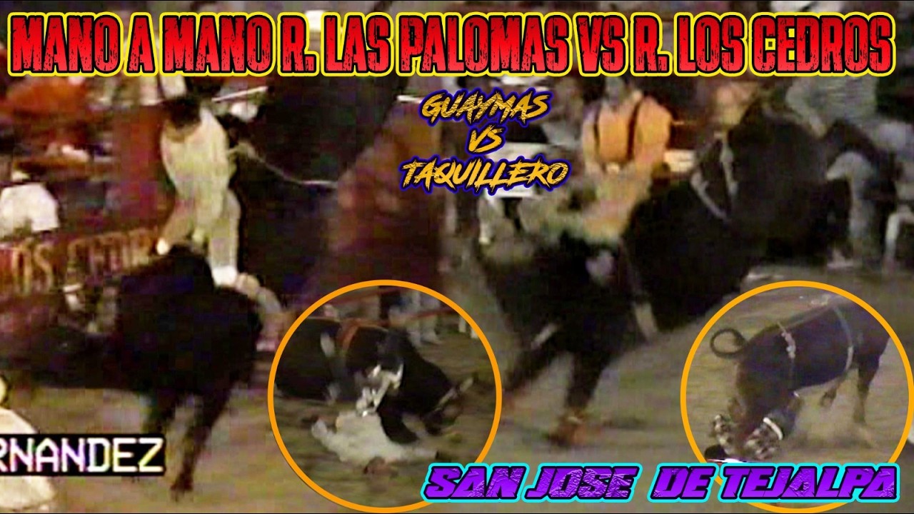 🔥💥🔥❗️MANO A MANO RANCHO LAS PALOMAS VS RANCHO LOS CEDROS | GUAYMAS DE VILLA VS EL TAQUILLERO❗️🔥💥🔥