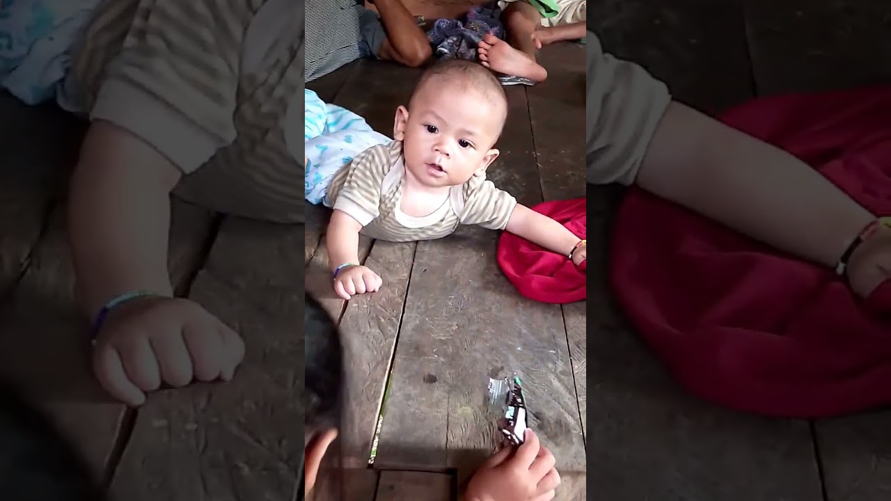 Panen buah lengkeng hutan